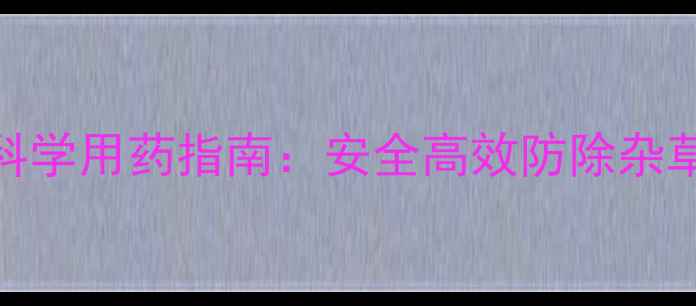 图片 玉米苗后除草剂科学用药指南：安全高效防除杂草的五大关键步骤