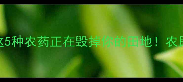 图片 玉米苗频繁死亡？这5种农药正在毁掉你的田地！农民必看安全种植指南