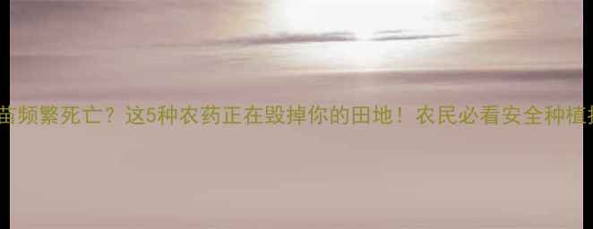 图片 玉米苗频繁死亡？这5种农药正在毁掉你的田地！农民必看安全种植指南2