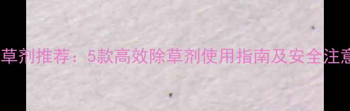 图片 玉米除草剂推荐：5款高效除草剂使用指南及安全注意事项1