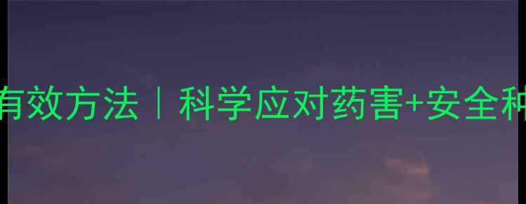 图片 玉米除草剂残留解除5大有效方法｜科学应对药害+安全种植技巧（附操作指南）2