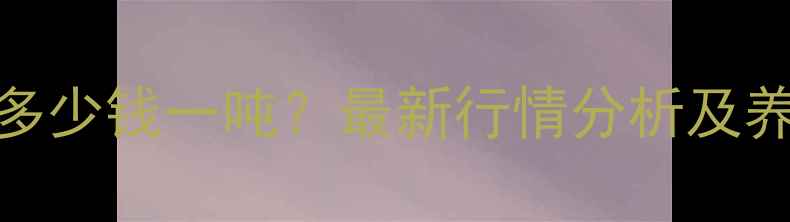图片 玉米饲料价格多少钱一吨？最新行情分析及养殖户应对策略