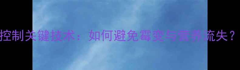 图片 玉米饲料水分控制关键技术：如何避免霉变与营养流失？最新操作指南