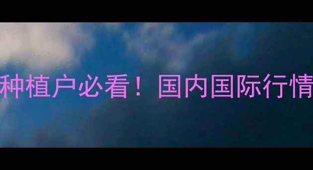 图片 甜味剂价格行情全｜糖企动态+种植户必看！国内国际行情+走势预测（附免费查询网站）