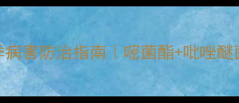 图片 生姜种植必看！早季病害防治指南｜嘧菌酯+吡唑醚菌酯组合方案详解🌱