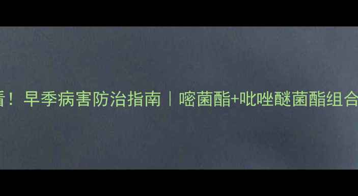 图片 生姜种植必看！早季病害防治指南｜嘧菌酯+吡唑醚菌酯组合方案详解🌱1