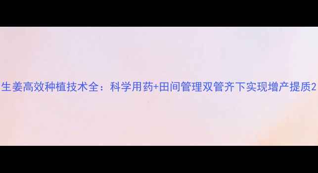 图片 生姜高效种植技术全：科学用药+田间管理双管齐下实现增产提质2
