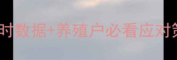 图片 生猪价格波动全：全国实时数据+养殖户必看应对策略（附权威网站推荐）2
