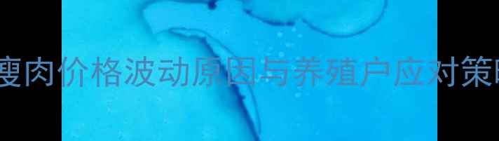 图片 生猪市场深度：猪瘦肉价格波动原因与养殖户应对策略（附最新数据）2