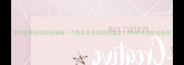 图片 生菜虫害有机防治指南｜不用农药也能轻松搞定！附5种天然防虫妙招