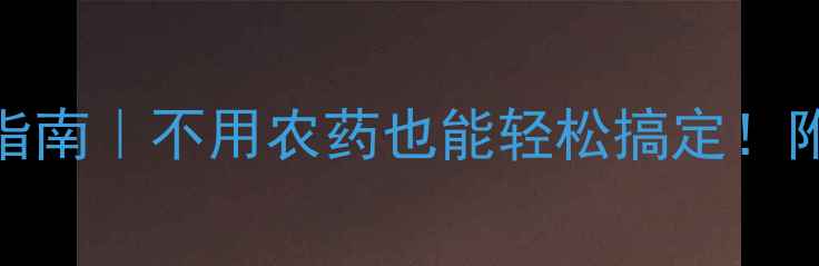 图片 生菜虫害有机防治指南｜不用农药也能轻松搞定！附5种天然防虫妙招1