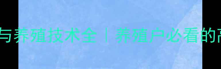 图片 甲鱼饲料配方与养殖技术全｜养殖户必看的高效增重指南2