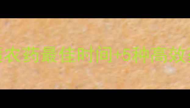 图片 番茄晚疫病防治全攻略｜喷农药最佳时间+5种高效药剂推荐（附防治流程图）