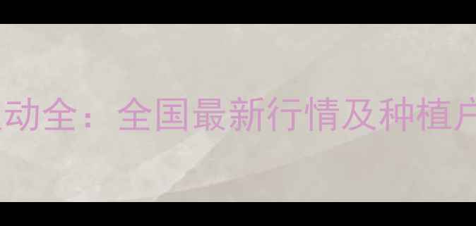 图片 白菜价格波动全：全国最新行情及种植户应对策略2