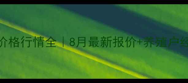 图片 皖南麻鸡价格行情全｜8月最新报价+养殖户经验分享🐔