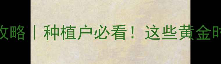 图片 真菌类农药使用时机全攻略｜种植户必看！这些黄金时间点能让防治效率翻倍