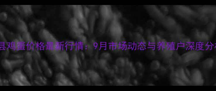 图片 睢县鸡蛋价格最新行情：9月市场动态与养殖户深度分析1