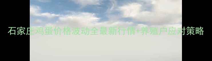 图片 石家庄鸡蛋价格波动全最新行情+养殖户应对策略