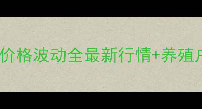 图片 石家庄鸡蛋价格波动全最新行情+养殖户应对策略2