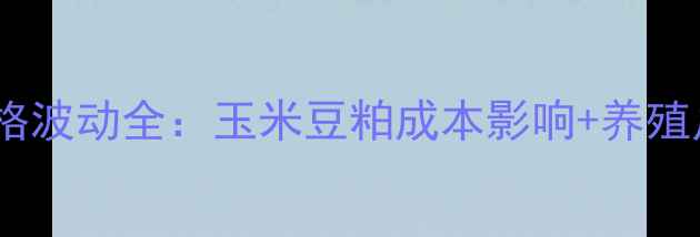 图片 石羊饲料价格波动全：玉米豆粕成本影响+养殖户应对策略1