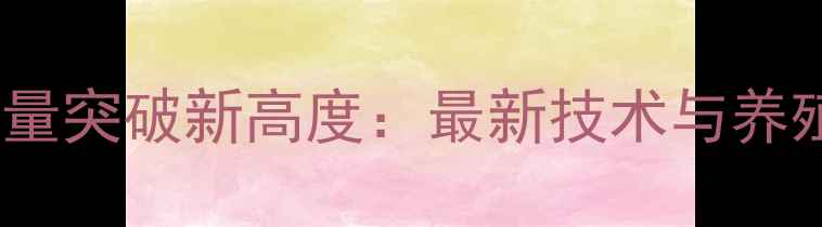 图片 石药饲料级VC含量突破新高度：最新技术与养殖效益提升指南2