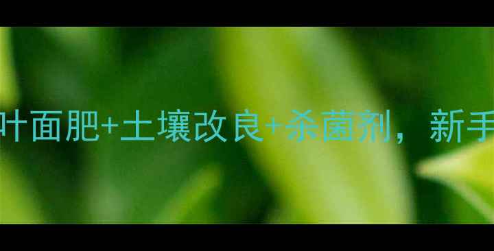 图片 硫酸镁的三大农业神技！叶面肥+土壤改良+杀菌剂，新手必看的农药界的全能选手