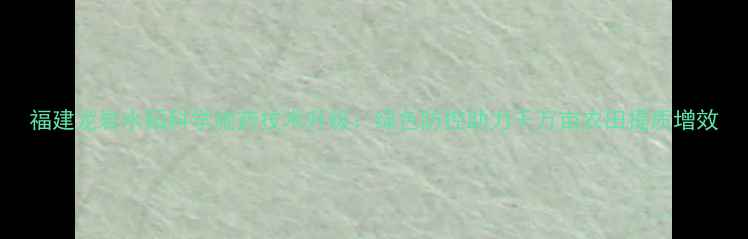 图片 福建龙岩水稻科学施药技术升级：绿色防控助力千万亩农田提质增效