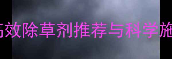 图片 秋季除草剂使用全攻略：高效除草剂推荐与科学施用技巧｜农资人必看指南2