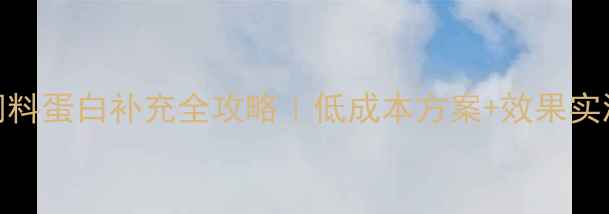 图片 科学养殖必备羊饲料蛋白补充全攻略｜低成本方案+效果实测！养羊户必看！