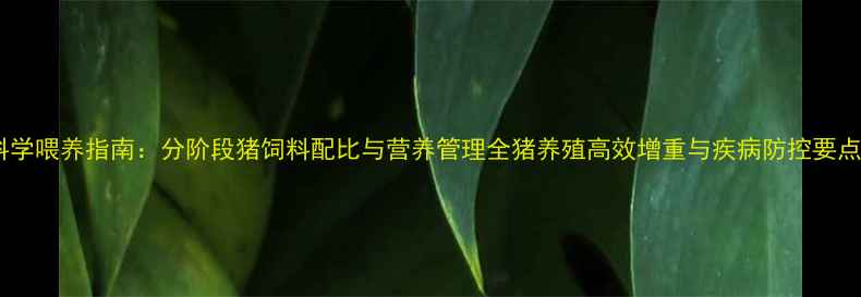 图片 科学喂养指南：分阶段猪饲料配比与营养管理全猪养殖高效增重与疾病防控要点1