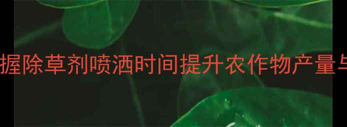 图片 科学把握除草剂喷洒时间提升农作物产量与品质1