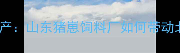 图片 科学配方+智能生产：山东猪崽饲料厂如何带动北方养殖业升级？