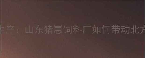 图片 科学配方+智能生产：山东猪崽饲料厂如何带动北方养殖业升级？1