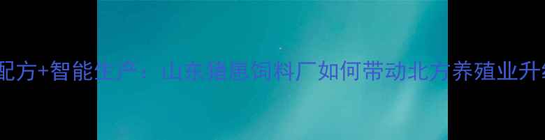 图片 科学配方+智能生产：山东猪崽饲料厂如何带动北方养殖业升级？2