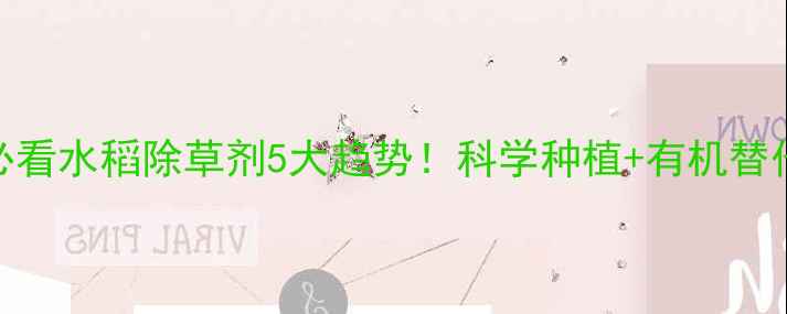 图片 稻农必看水稻除草剂5大趋势！科学种植+有机替代全🌾