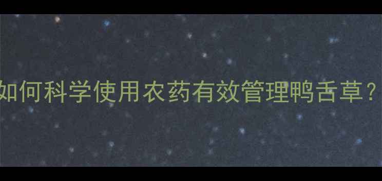 图片 稻田鸭舌草防治技巧：如何科学使用农药有效管理鸭舌草？附用药指南与注意事项