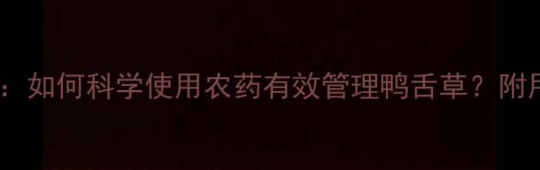 图片 稻田鸭舌草防治技巧：如何科学使用农药有效管理鸭舌草？附用药指南与注意事项2