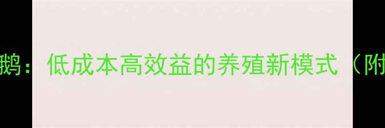 图片 稻草颗粒饲料养鹅：低成本高效益的养殖新模式（附详细操作指南）