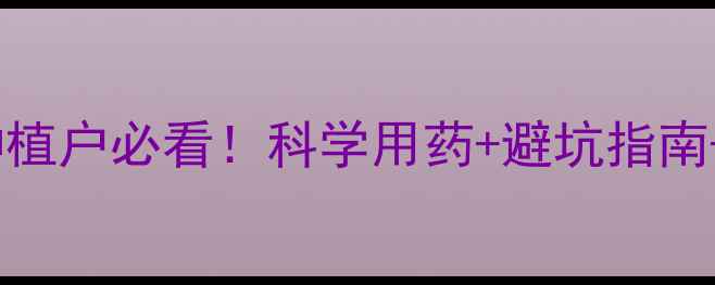图片 稻金丹农药使用全攻略稻谷种植户必看！科学用药+避坑指南+增效技巧（附说明书重点）2