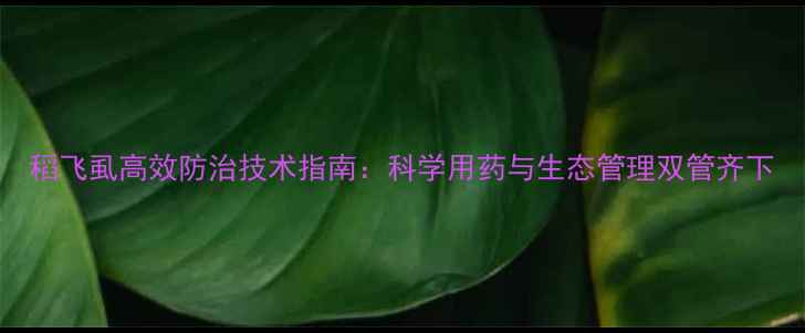 图片 稻飞虱高效防治技术指南：科学用药与生态管理双管齐下