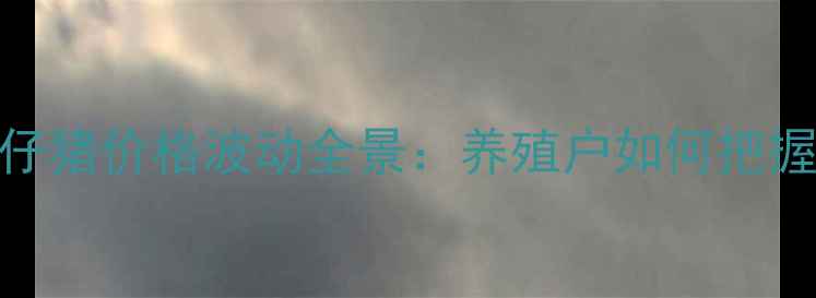 图片 第四季度仔猪价格波动全景：养殖户如何把握市场机遇