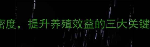 图片 精准控制鸡饲料密度，提升养殖效益的三大关键技术与操作指南1