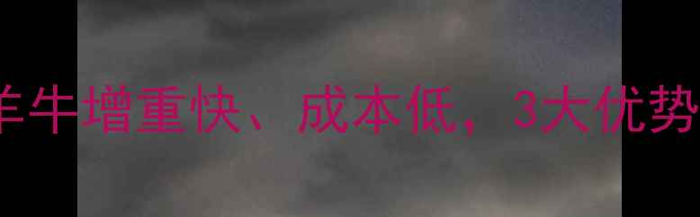 图片 糖蜜饲料这样做！羊牛增重快、成本低，3大优势让养殖户直呼有效2