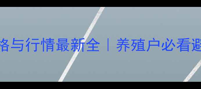 图片 绵羊价格与行情最新全｜养殖户必看避坑指南