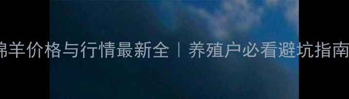 图片 绵羊价格与行情最新全｜养殖户必看避坑指南1