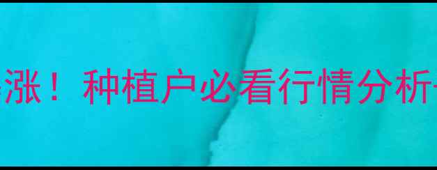 图片 绿豆价格暴涨！种植户必看行情分析+种植技巧2