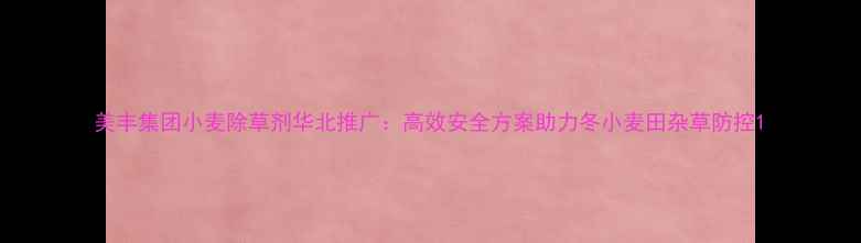 图片 美丰集团小麦除草剂华北推广：高效安全方案助力冬小麦田杂草防控1