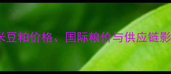 图片 美国猪饲料批发价格波动全：玉米豆粕价格、国际粮价与供应链影响深度调查（含历史数据对比）1