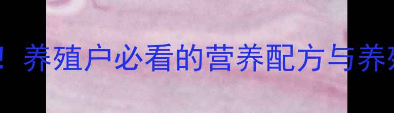 图片 美国邦基饲料最新测评！养殖户必看的营养配方与养殖效益提升攻略🐷🐔🐑2