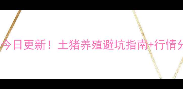 图片 聊城土杂猪明日价格今日更新！土猪养殖避坑指南+行情分析，养殖户必看！1